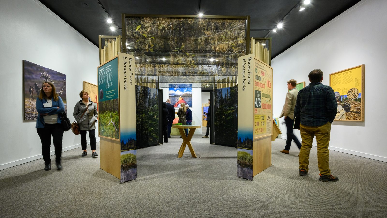 The entrance of Knowing Nature, which is an enclosed forest space.
