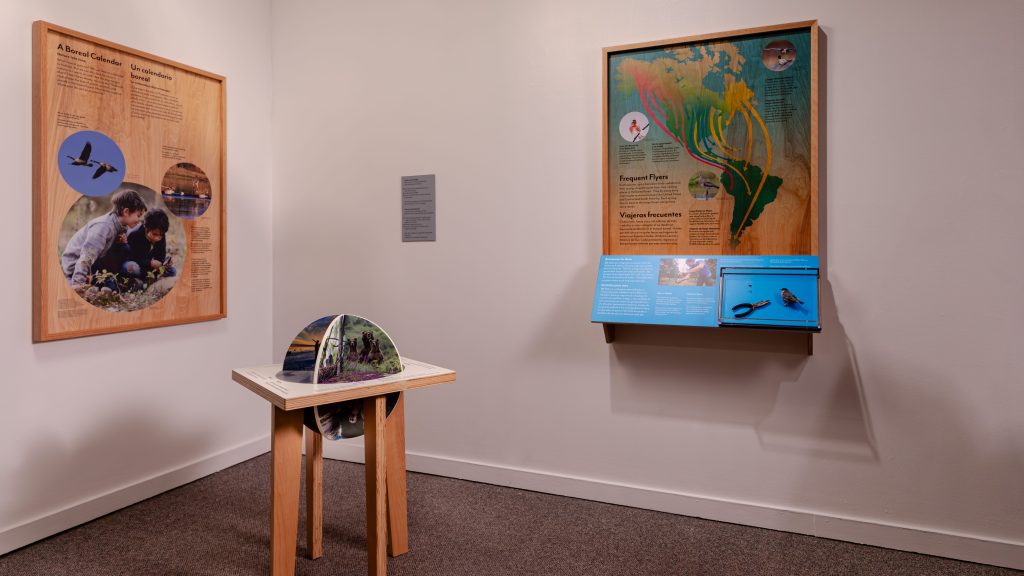 Interactive puzzle amidst wall panels for Knowing Nature.